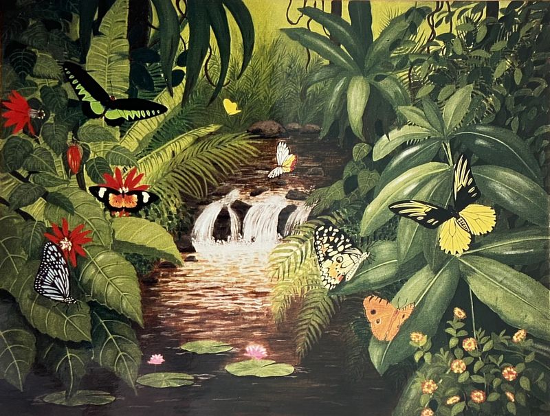 A - Butterflies Borneo.jpeg