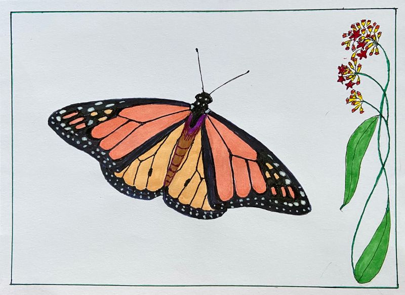 Monarch.jpeg