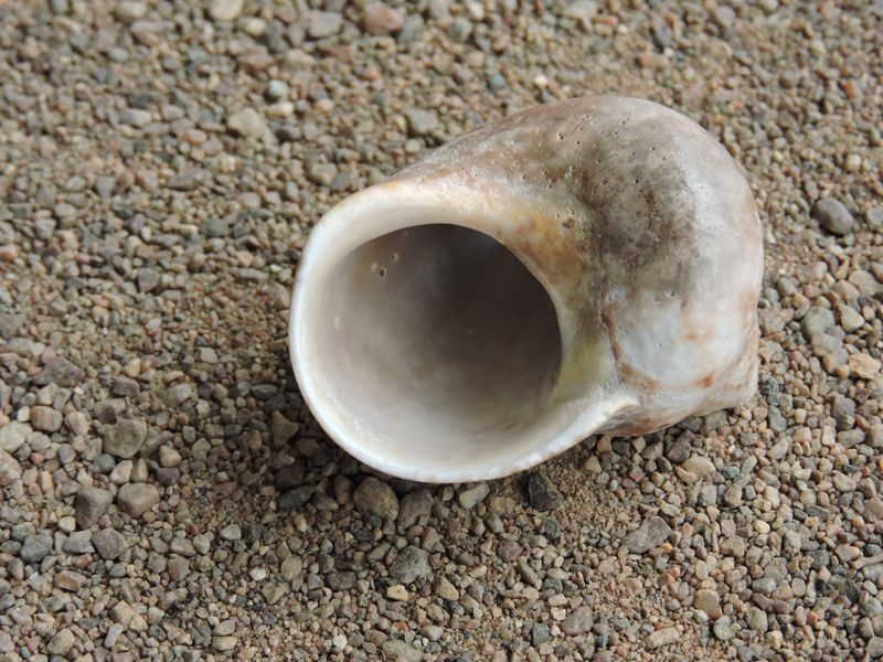 DSCN5466.JPG