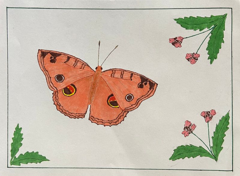 Peacock pansy.jpeg