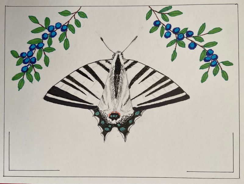 My paintings and drawings