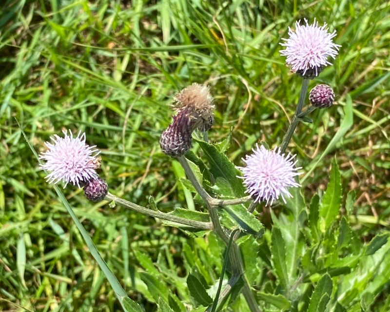 IMG_1834.jpeg