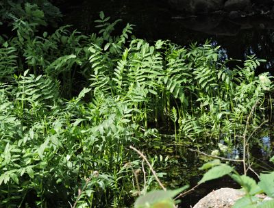 g13/38/644138/3/174619363.b394e18c.JPEG