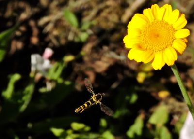 g13/38/644138/3/174662553.4b1379d0.JPEG