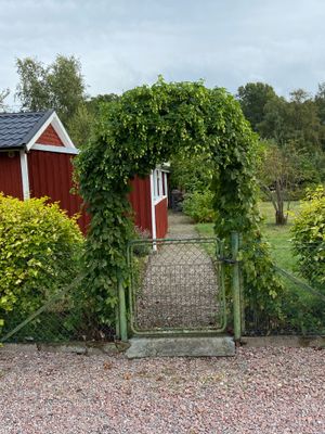 Humleporten!.jpeg
