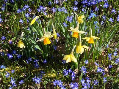 IMG_1143.jpeg