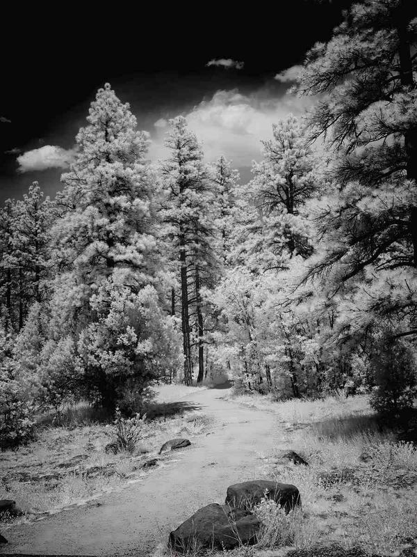 COLORADO