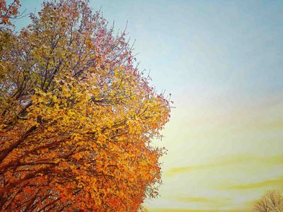Near To Hearth And Heart: Our Life Together