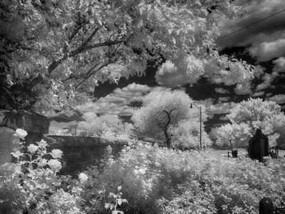 Infrared: A World We Cannot See