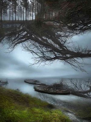 New Soundings: Nature Deconstructed