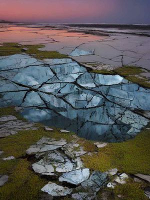 New Soundings: Nature Deconstructed