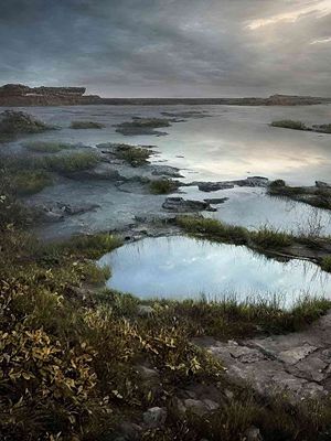 New Soundings: Nature Deconstructed