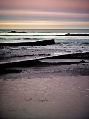 New Soundings: Nature Deconstructed