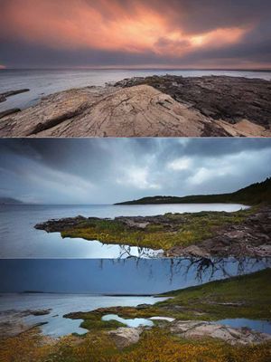 Featured Gallery