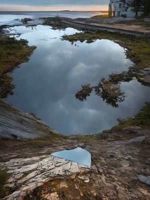 New Soundings: Nature Deconstructed