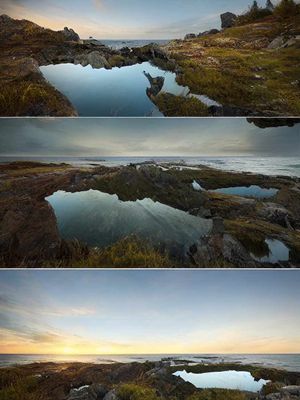 Featured Gallery