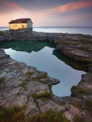 Featured Gallery