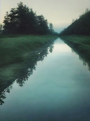 Featured Gallery