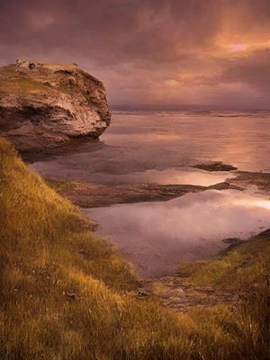 Featured Gallery