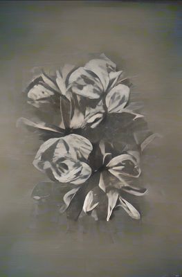 Dreaming Floral