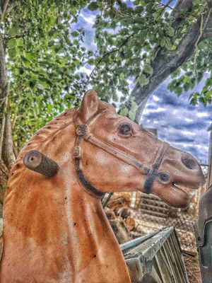 Southern Louisiana Through The Years