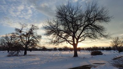 January 4