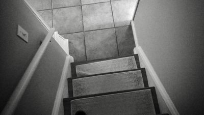 Photo a Day 2023