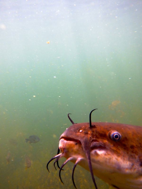 DSCF7950.JPG