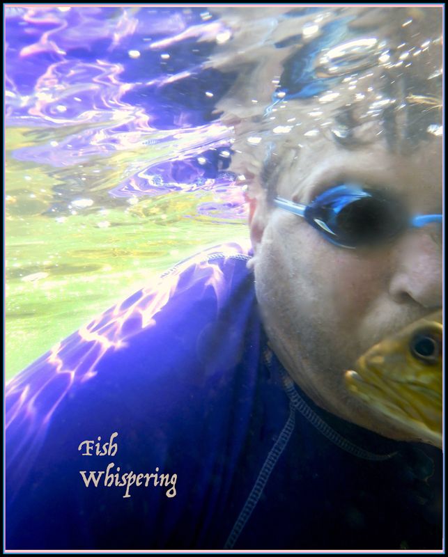 fish whisperer1.jpg