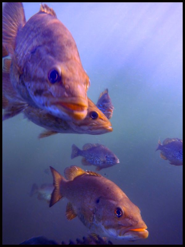 DSCF5511.JPG