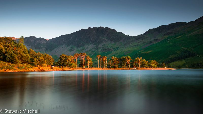 Buttermere Pines Sunset_EL23048.jpg