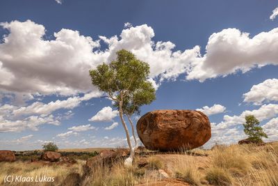_SA29316.jpg