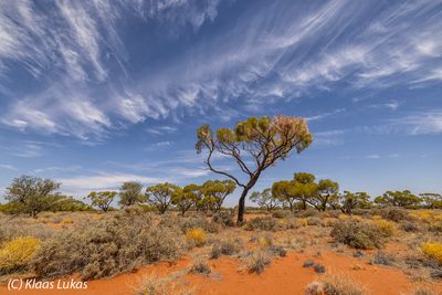 Adelaide To Darwin 2025