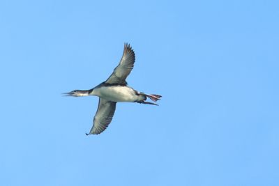 184A6007.JPG
