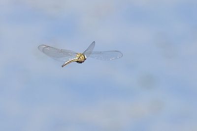 055A0607.JPG