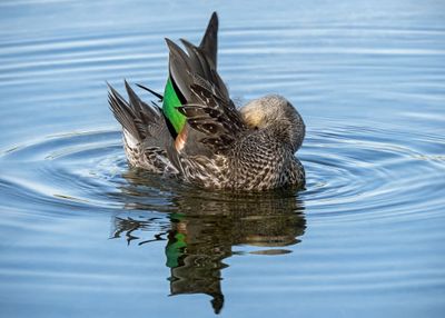 IMG_0073-5x7.jpg