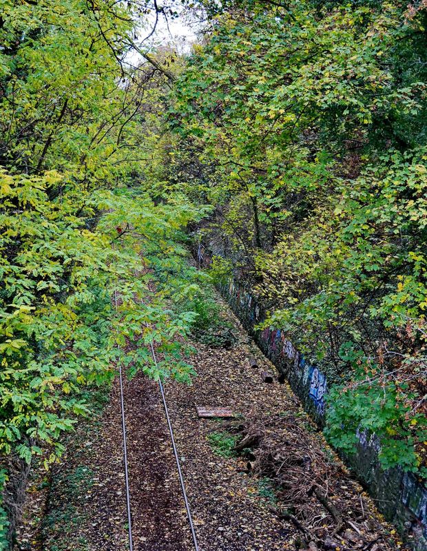 Old train line desactivated by rue Didot; this old line circulated Paris by its external loop. 