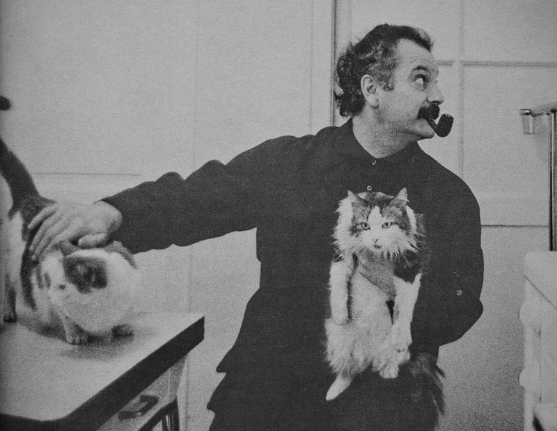 Cats: Georges Brassens loved them. 
