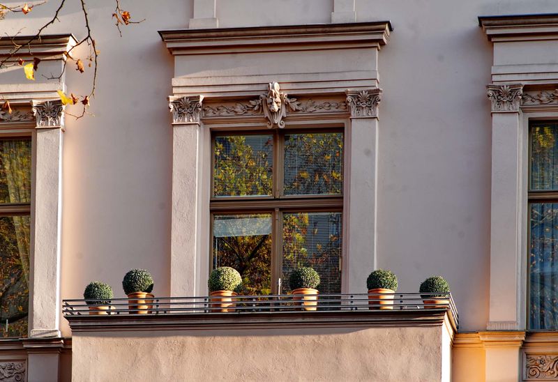 The windows. 
