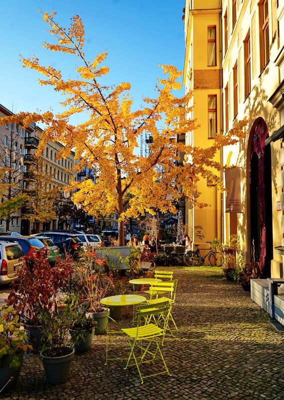 People on restaurants; enjoying the sun before winter arrives; Prenzlauer Berg area. . 