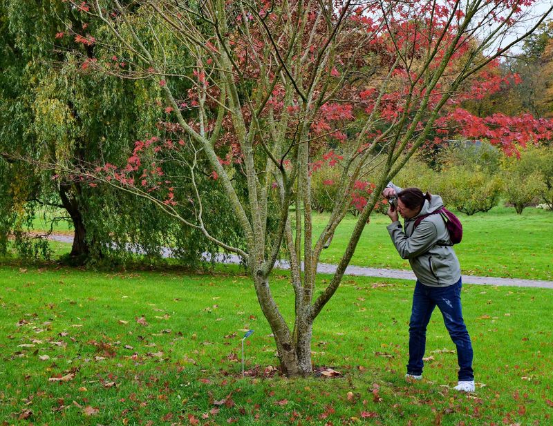 At the Arboretum; Cyrill using his Fujifilm XT100f camera. 