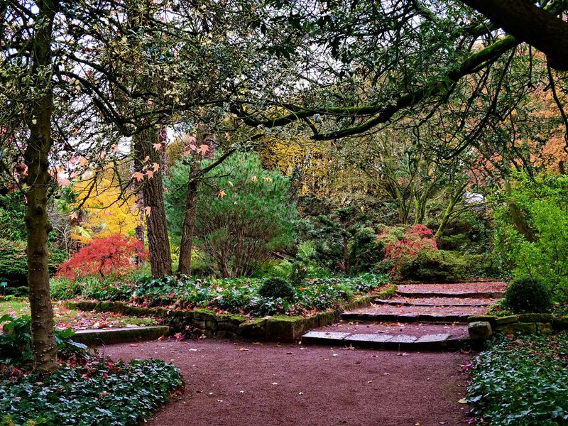 The Arboretum paths. 