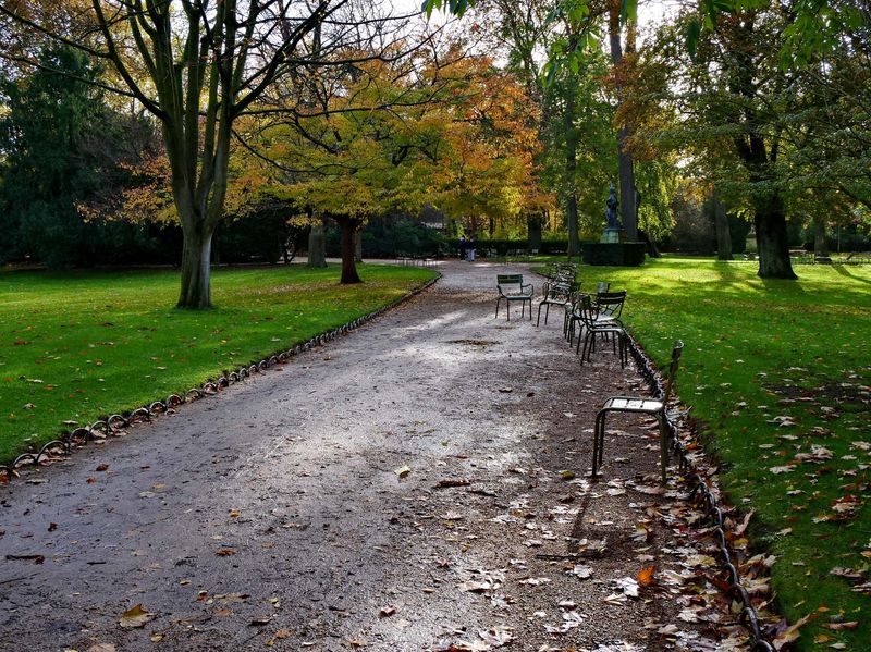 Le Jardin du Luxembourg. 