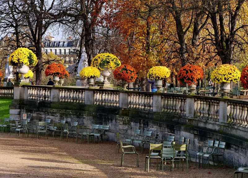 Le Jardin du Luxembourg. 