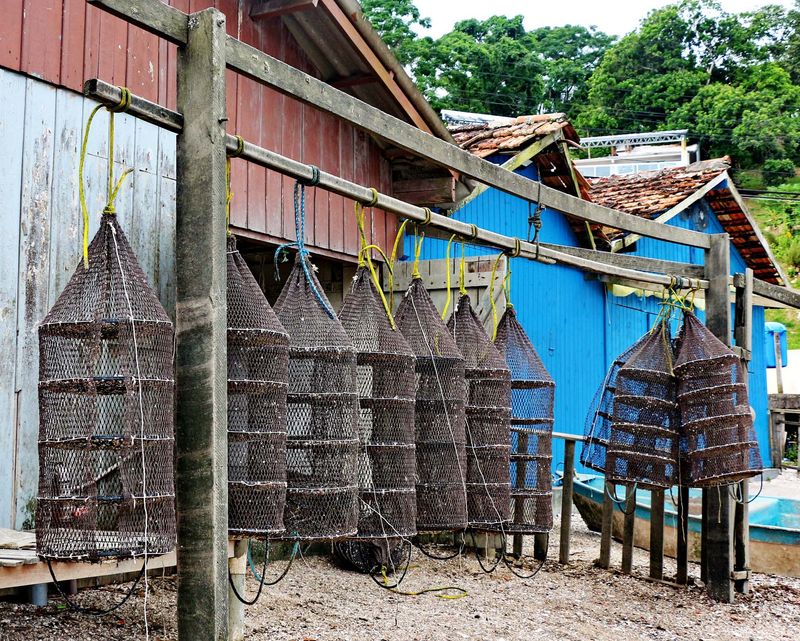 This type of cage is called lanterna; for oyster farming. 