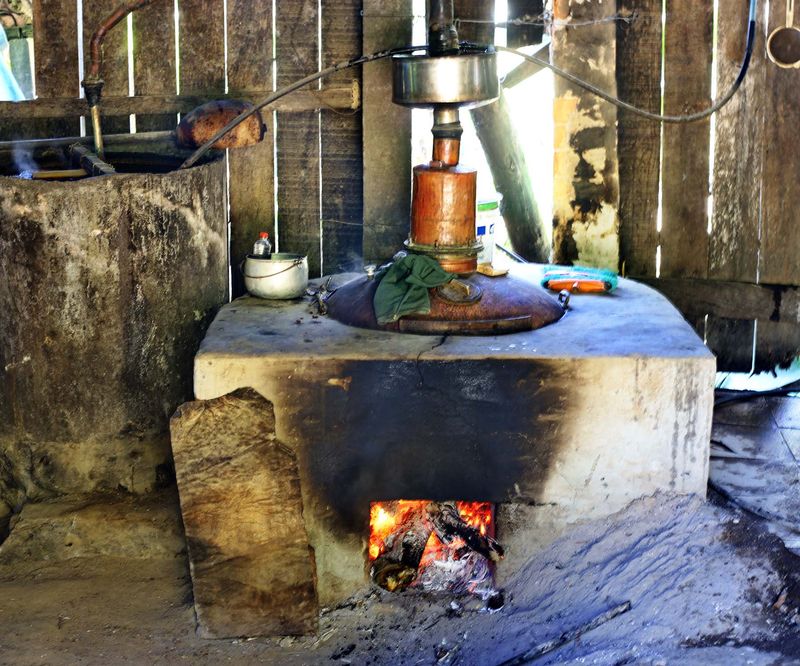 Zé Folia distillery; between Angelina and São Pedro de Alcântara.