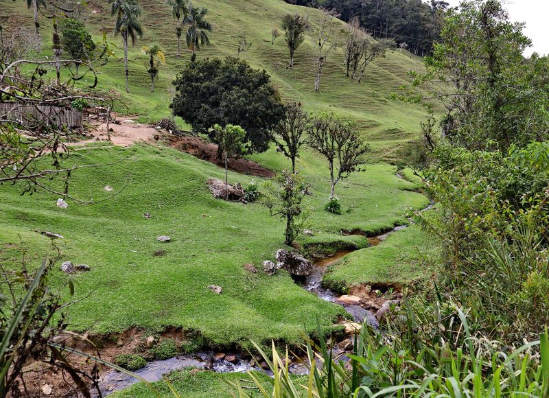Between Rancho Queimado and Angelina.