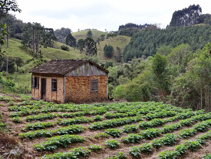 Between Rancho Queimado and Angelina.