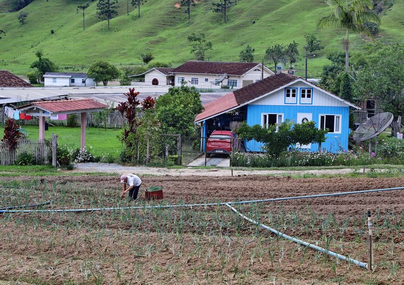 Between Rancho Queimado and Angelina.