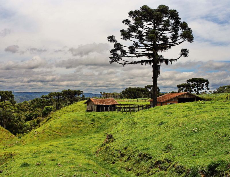 Between Rancho Queimado and Taquaras.
